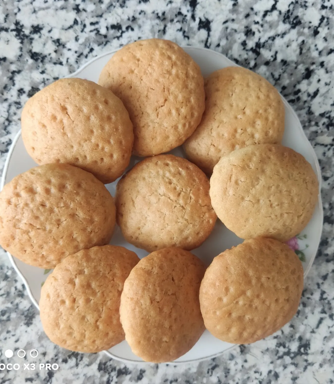 کلوچه زنجبیلی سبزوار